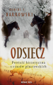 robert-f-barkowski_odsiecz